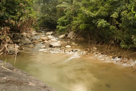 Mountain stream in the forest, long exposure picture Stock Photos