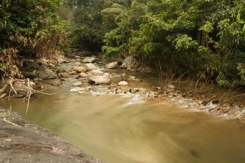 Mountain stream in the forest, long exposure picture Stock Photos