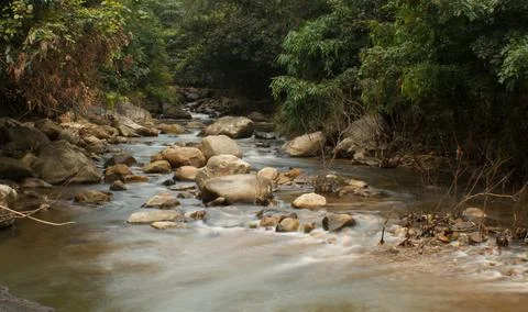 Mountain stream in the forest, long exposure picture Stock Photos