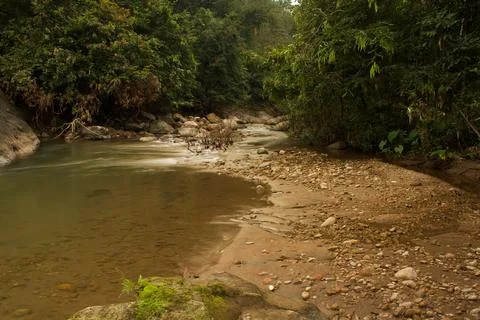 Mountain stream in the forest, long exposure picture Stock Photos