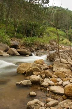 Mountain stream in the forest, long exposure picture Stock Photos