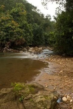 Mountain stream in the forest, long exposure picture Stock Photos