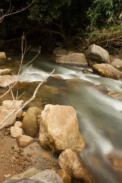 Mountain stream in the forest, long exposure picture Stock Photos