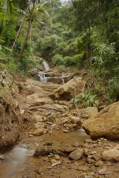 Mountain stream in the forest, long exposure picture Stock Photos