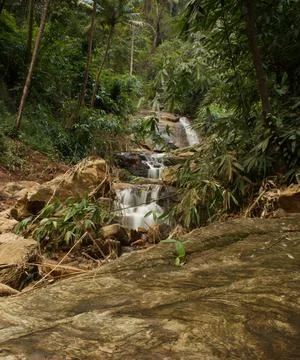 Mountain stream in the forest, long exposure picture Stock Photos