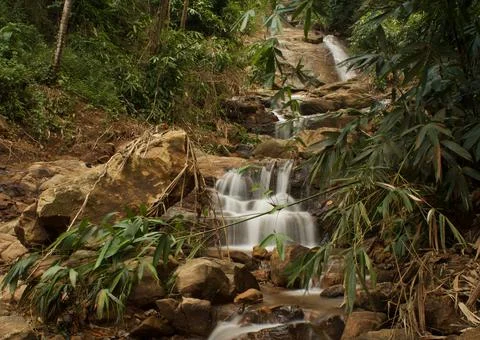 Mountain stream in the forest, long exposure picture Stock Photos