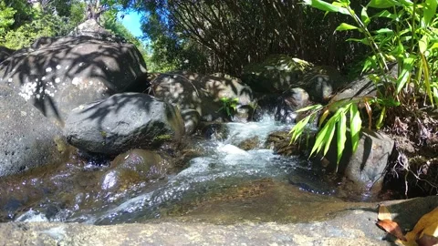 Mountain stream in the forest in Mauritius Video stock 140481990
