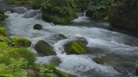 Mountain stream in the forest, Oirase stream, Aomori Prefecture, Japan Stock Footage 105415769