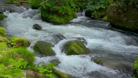 Mountain stream in the forest, Oirase stream, Aomori Prefecture, Japan Stock Footage 105415782