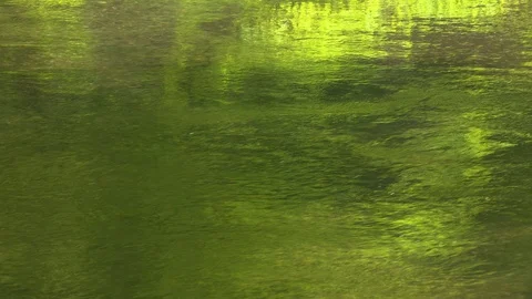 Mountain stream in the forest, Oirase stream, Aomori Prefecture, Japan Stock Footage 105415932