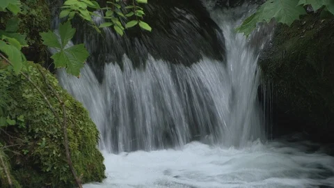 Mountain stream in the forest, Oirase stream, Aomori Prefecture, Japan Stock Footage 105417762