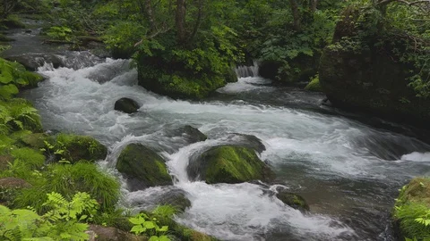Mountain stream in the forest, Oirase stream, Aomori Prefecture, Japan Stock Footage 105417764