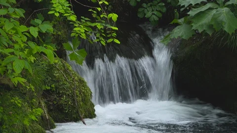 Mountain stream in the forest, Oirase stream, Aomori Prefecture, Japan Stock Footage 105417767