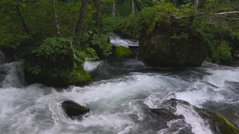 Mountain stream in the forest, Oirase stream, Aomori Prefecture, Japan Stock Footage 105417827