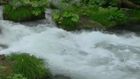 Mountain stream in the forest, Oirase stream, Aomori Prefecture, Japan Stock Footage 105418307