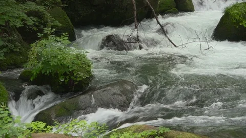 Mountain stream in the forest, Oirase stream, Aomori Prefecture, Japan Stock Footage 105418886