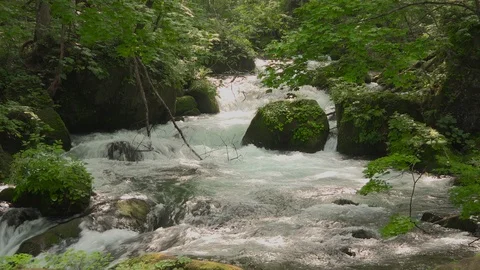 Mountain stream in the forest, Oirase stream, Aomori Prefecture, Japan Stock Footage 105418941