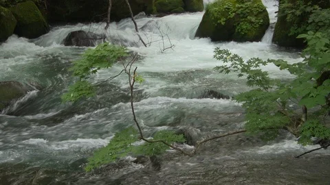 Mountain stream in the forest, Oirase stream, Aomori Prefecture, Japan Stock Footage 105419060