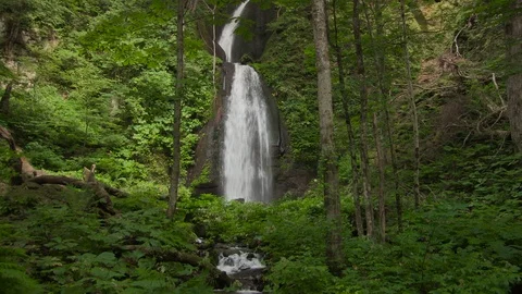 Mountain stream in the forest, Oirase stream, Aomori Prefecture, Japan Vidéo 105421648