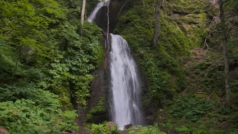 Mountain stream in the forest, Oirase stream, Aomori Prefecture, Japan Stock Footage 105421649