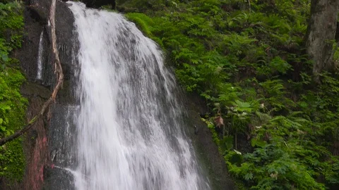 Mountain stream in the forest, Oirase stream, Aomori Prefecture, Japan Stock Footage 105421656