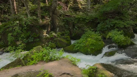 Mountain stream in the forest, Oirase stream, Aomori Prefecture, Japan Stock Footage 105421725