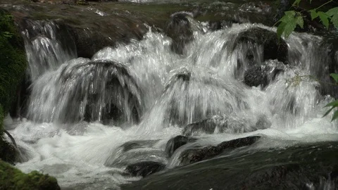 Mountain stream in the forest, Oirase stream, Aomori Prefecture, Japan Stock Footage 105421821