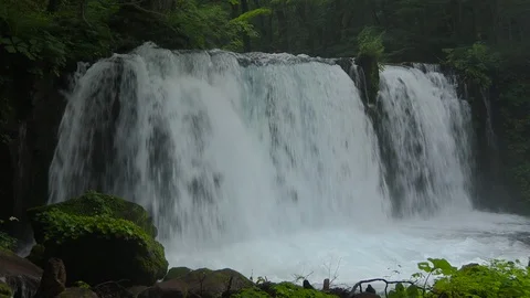 Mountain stream in the forest, Oirase stream, Aomori Prefecture, Japan Stock Footage 105422179