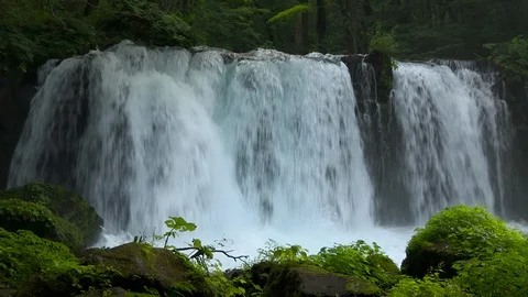 Mountain stream in the forest, Oirase stream, Aomori Prefecture, Japan Stock Footage 105422184