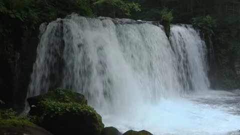 Mountain stream in the forest, Oirase stream, Aomori Prefecture, Japan Stock Footage 105422248