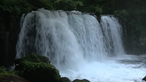 Mountain stream in the forest, Oirase stream, Aomori Prefecture, Japan Stock Footage 105423378
