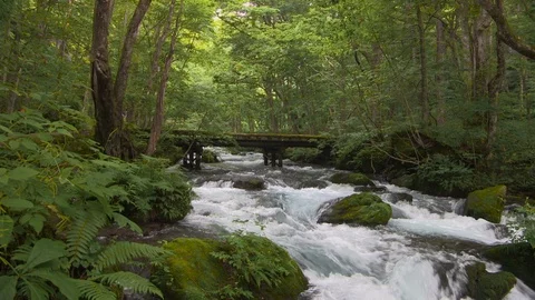 Mountain stream in the forest, Oirase stream, Aomori Prefecture, Japan Stock Footage 105423438