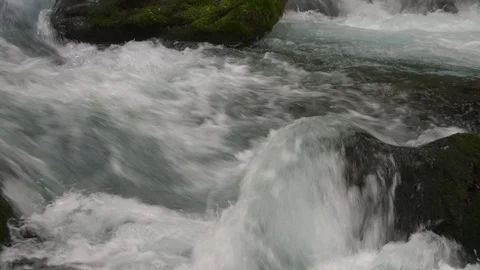 Mountain stream in the forest, Oirase stream, Aomori Prefecture, Japan Stock Footage 105423654