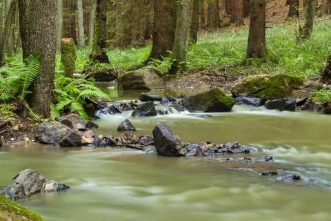 Mountain stream in a forest Stock Photos
