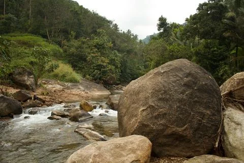 Mountain stream in the forest Stock Photos