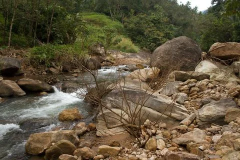 Mountain stream in the forest Stock Photos