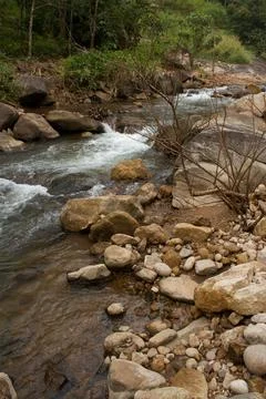 Mountain stream in the forest Stock Photos
