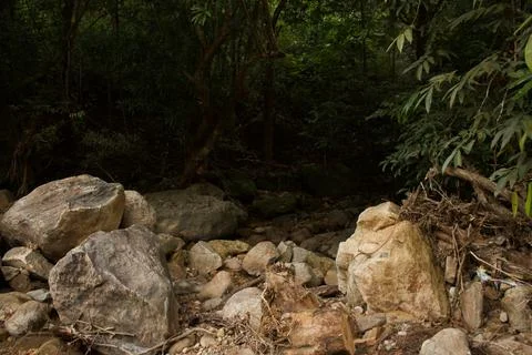 Mountain stream in the forest Stock Photos