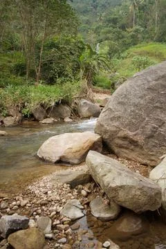 Mountain stream in the forest Stock Photos
