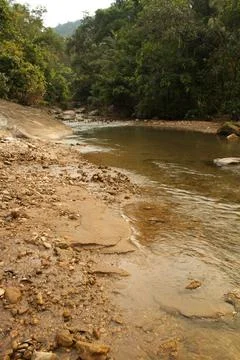 Mountain stream in the forest Stock Photos