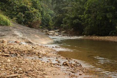 Mountain stream in the forest Foto stock