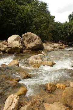 Mountain stream in the forest Stock Photos