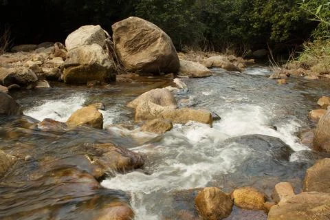 Mountain stream in the forest Stock Photos