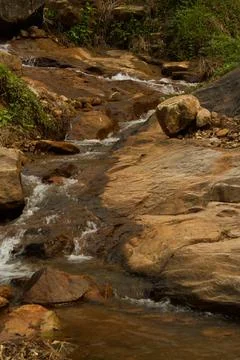 Mountain stream in the forest Stock Photos