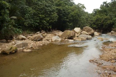 Mountain stream in the forest Stock Photos