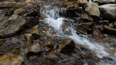 Mountain stream in the forest. River flows over rocks. Stock Footage 44423394