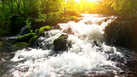 Mountain stream in the forest. slow motion. Stock Footage 94247705