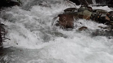 Mountain stream in the forest. Slow motion. Stock Footage 221305734