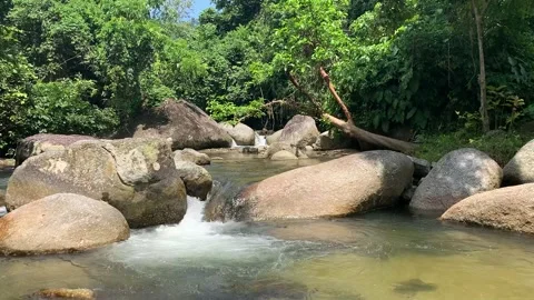 Mountain stream in the forest in Sungai Kurau, Batu Kurau Perak Malaysia Stock Footage 199527414
