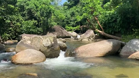 Mountain stream in the forest in Sungai Kurau, Batu Kurau Perak Malaysia Stock Footage 199527434
